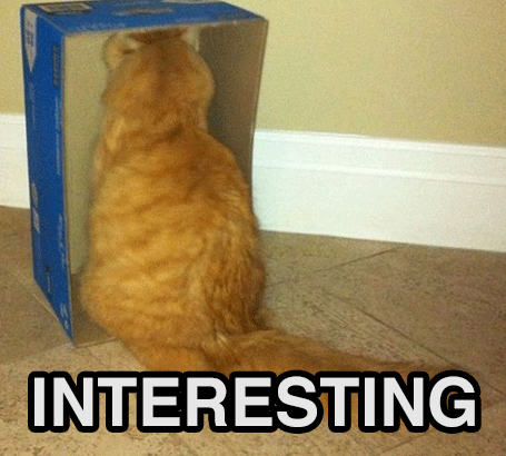 InterestingCat