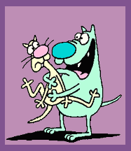 hund katze 00551