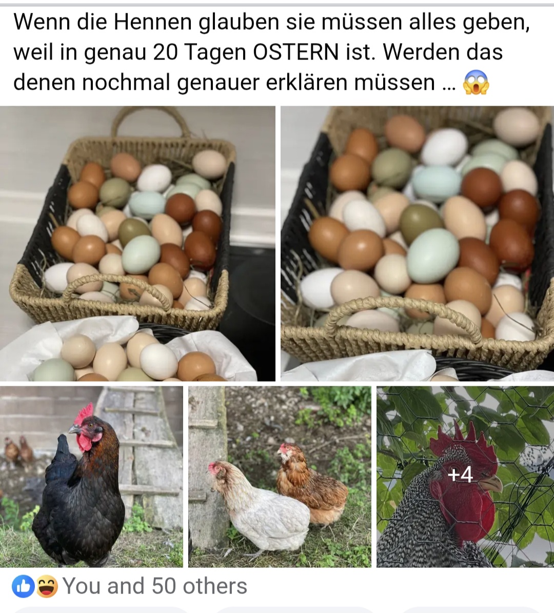 Screenshot 20251205 225442 Chrome