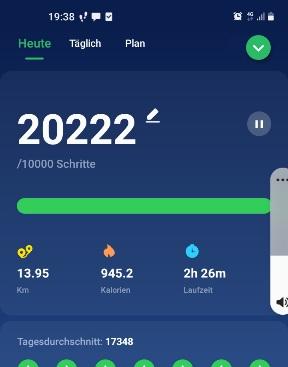 Screenshot 20211126-193852 Pedometer Ste