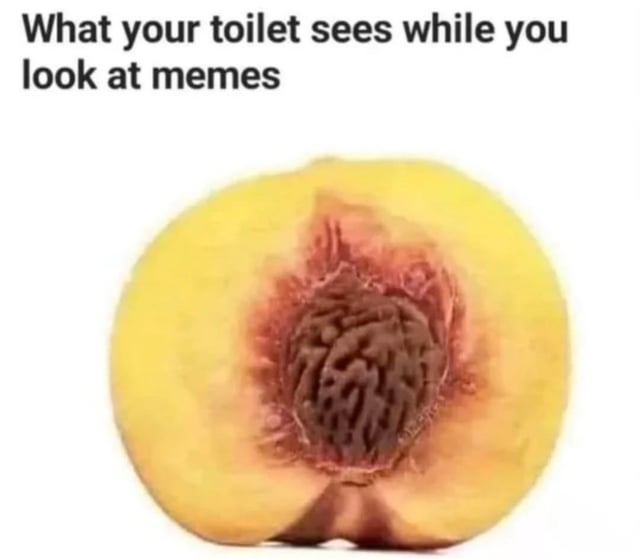 the-trauma-your-toilet-cant-unsee-v0-79i