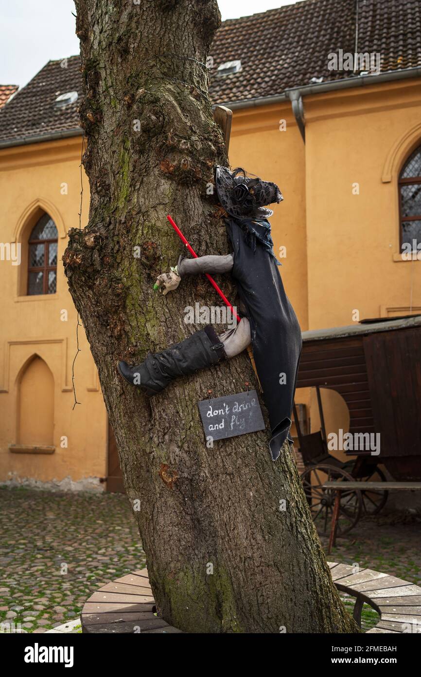 strassenkunst-hexe-auf-dem-baum-und-die-