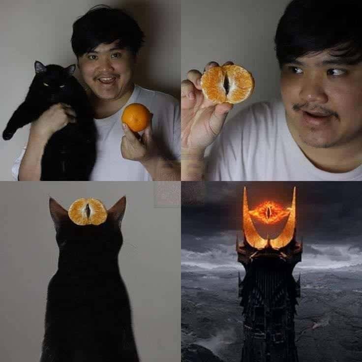 funniest-lord-of-the-rings-memes-18-1
