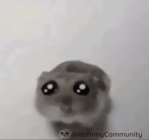 giphy