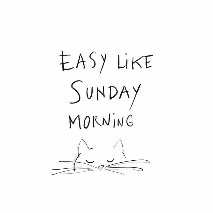 c00625e93f83eb8e0ea17f0300aec86f-1