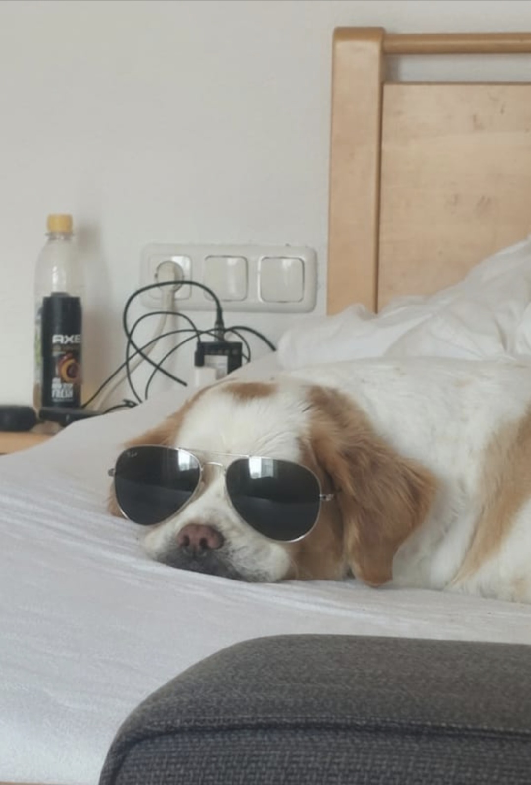 Screenshot 20251120 075503 Gallery