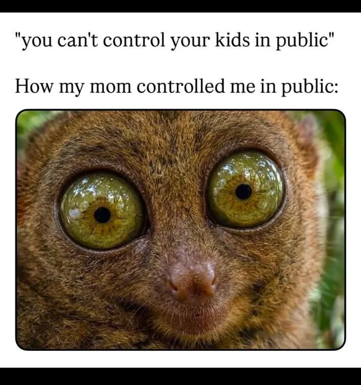 IMG 20260323 222201 915