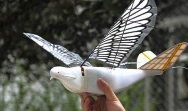 surveillance-drones-birds-768x454