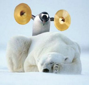 polar bears and penguins