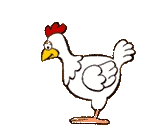tb831fd animated-chicken-image-0123