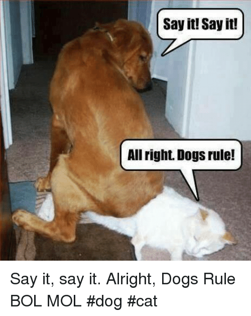 say-it-say-it-all-right-dogs-rule-say-it