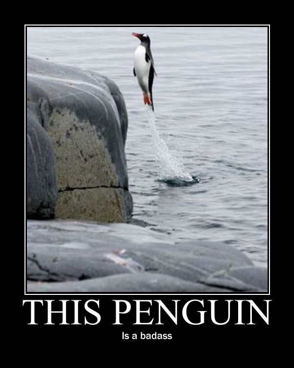 Penguinsareawesome 55d2e792eb776fee4f0bd