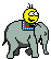 Elefant-1