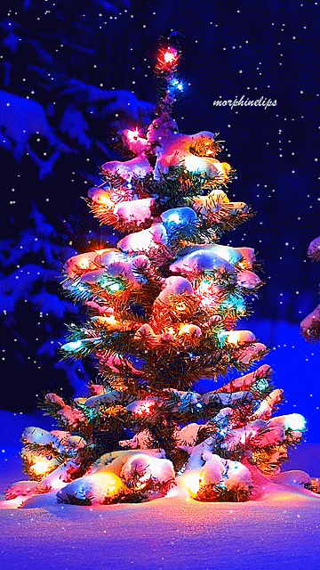 christmas-tree-animated-gif-36