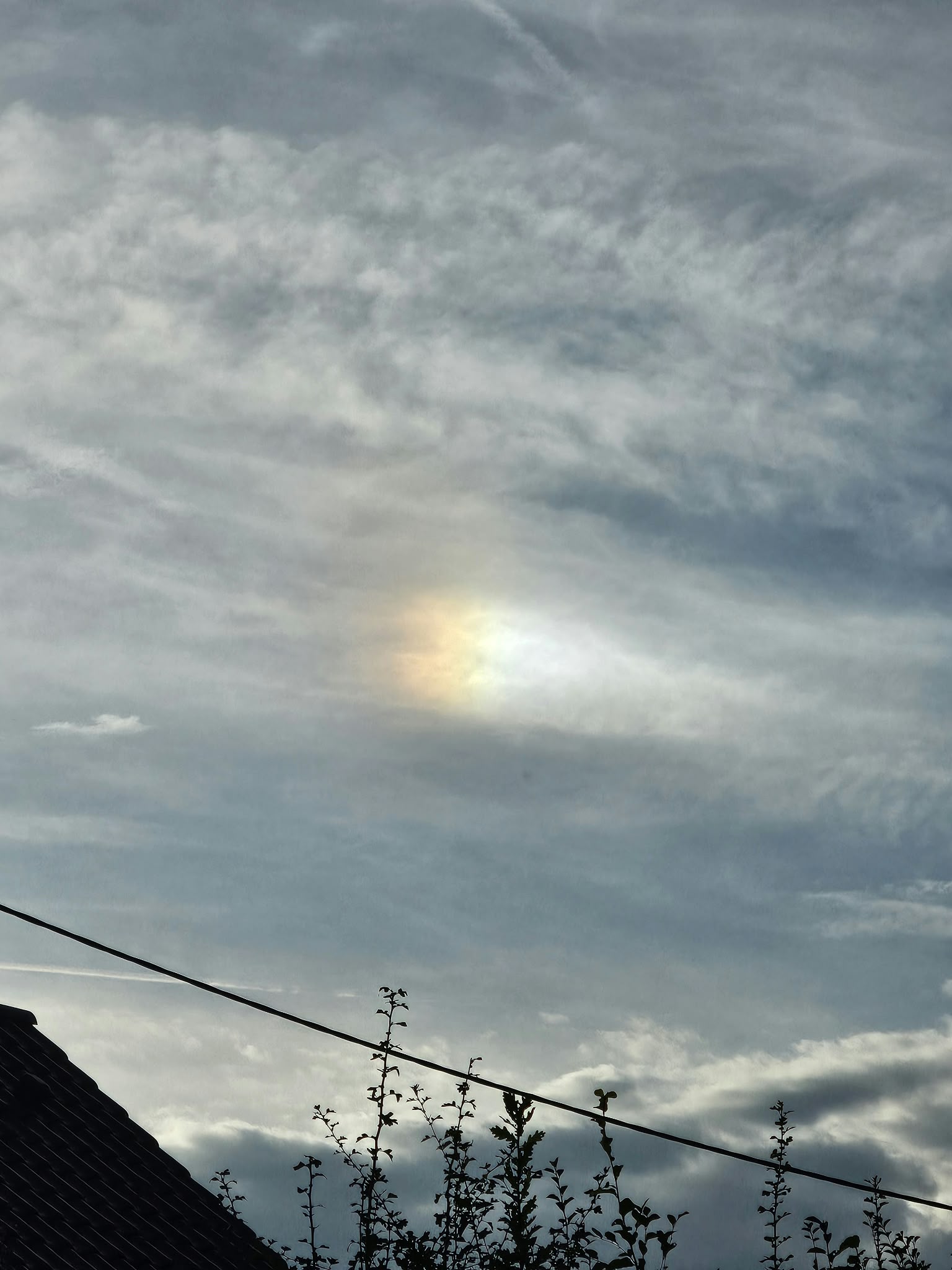 IMG-20260930-WA0040