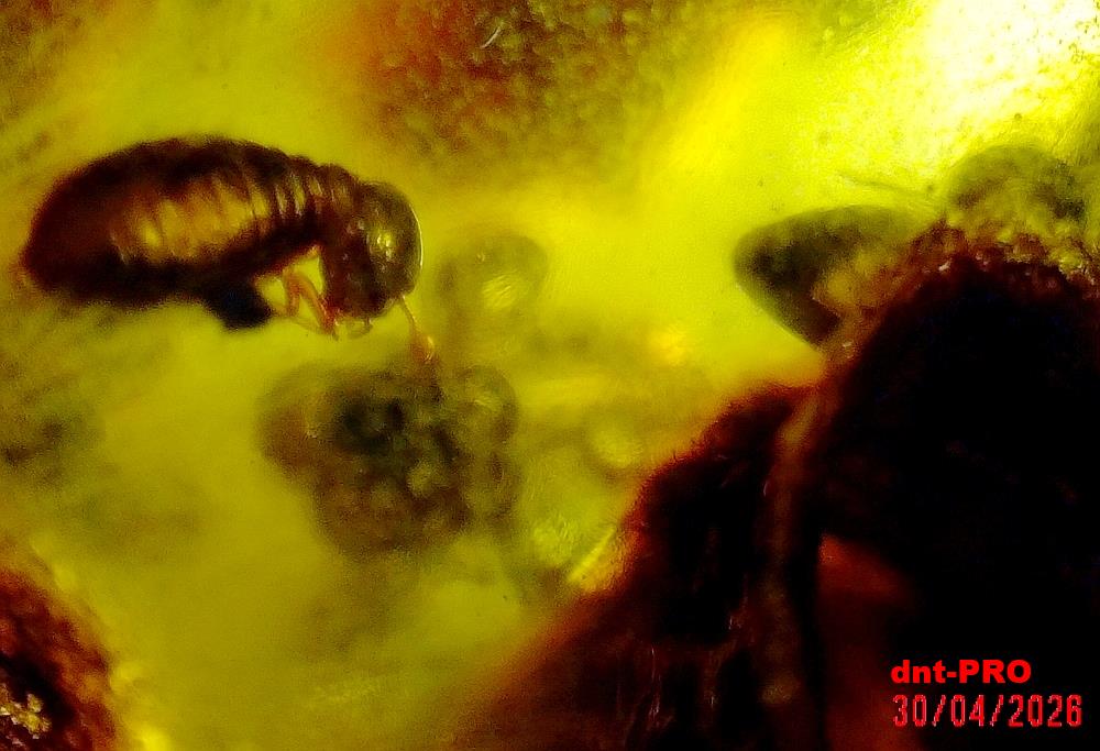 2026 0430 154819 006