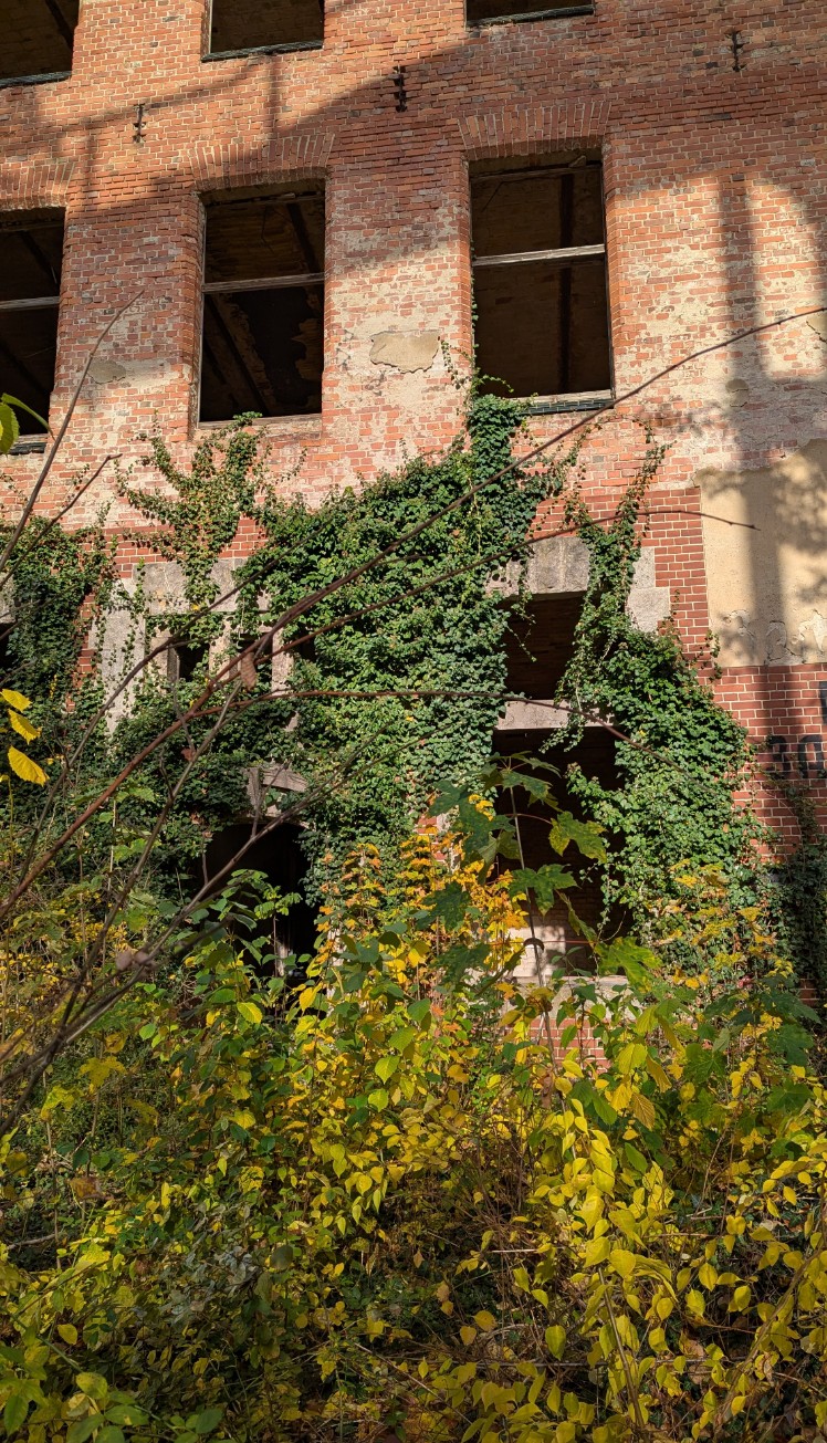 cf90632e-2ca4-4c3c-8f9a-77579b9b73ed cop