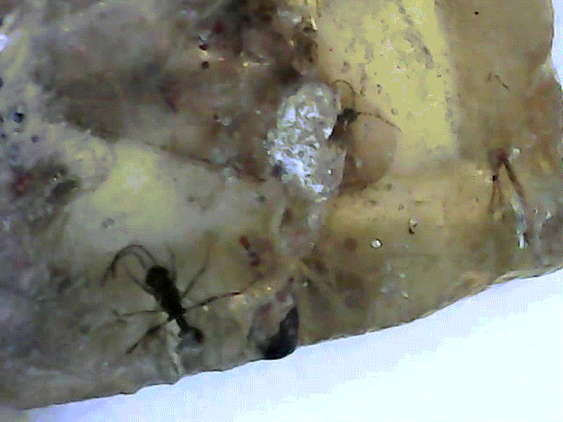 test2