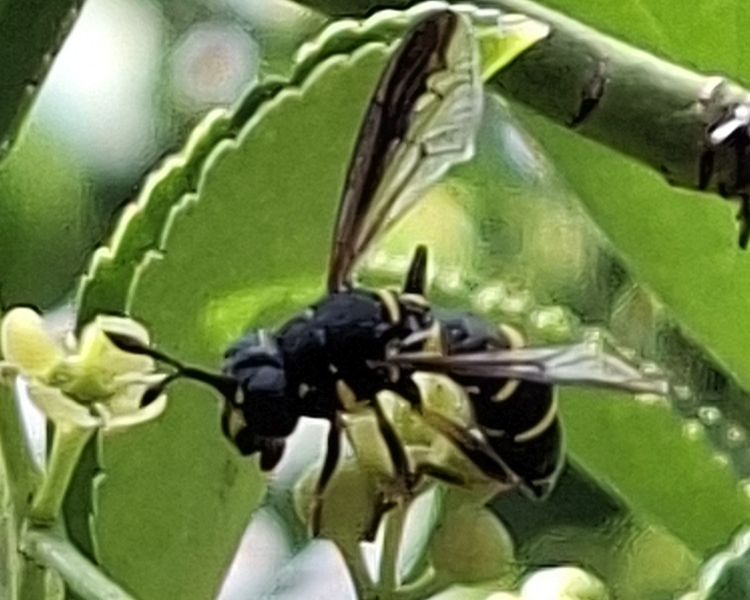 xx01