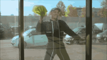 mister-v-wiping-windows