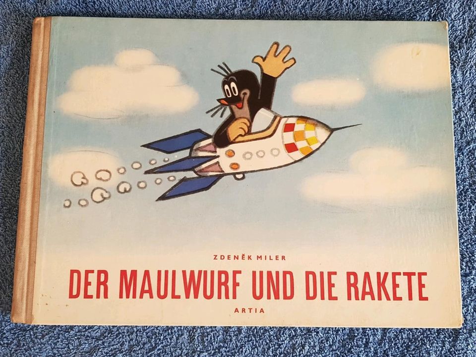 Maulwurf und Rakete.jfif