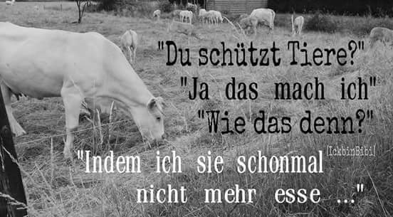 FB IMG 1439031651382