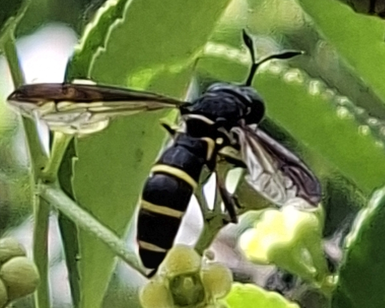 xx01