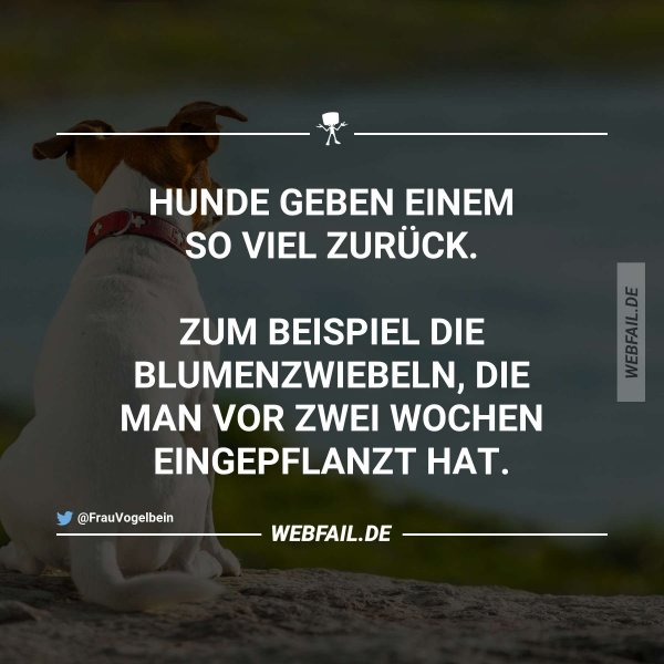 post2 - 2026-04-11T185151.569