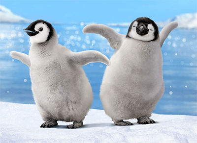 cd10681-penguins-dancing-bump-lenticular