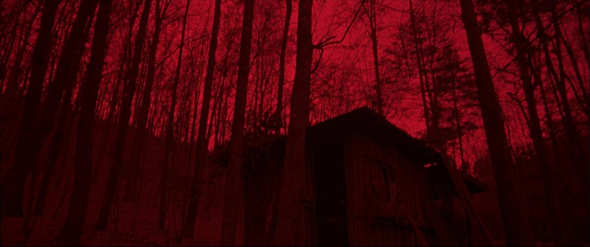 Cabin Fever 2002 Eli Roth - Copy