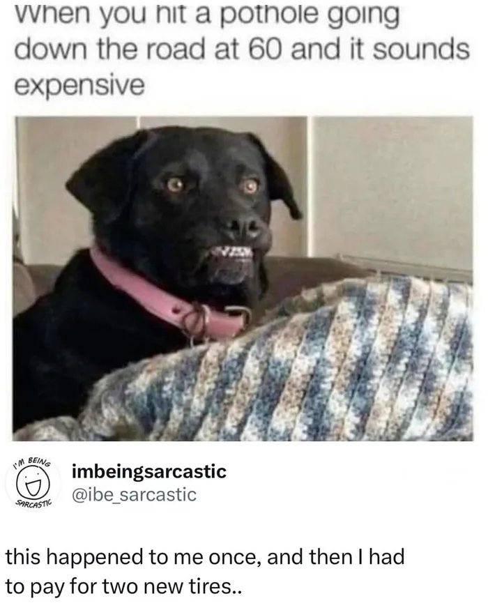 1000031307