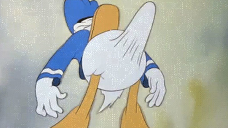 1000030833