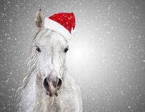 weisses-weihnachtspferd-mit-sankt-hut-au