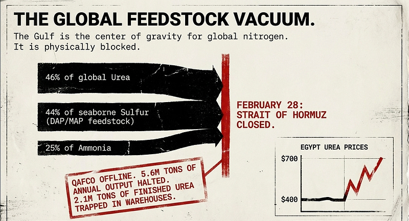 04be2d48-b2ce-4919-800e-aa17bfd2646f 800