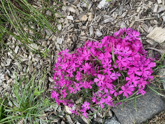 image11