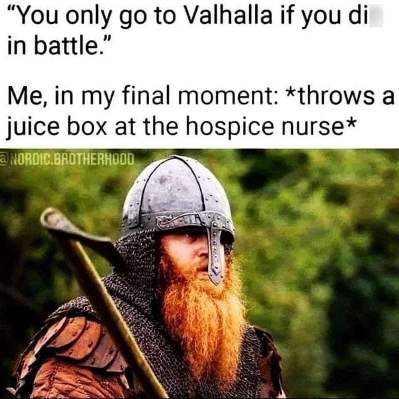 only-go-valhalla-if-di-battle-my-final-m