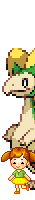 oie overlay