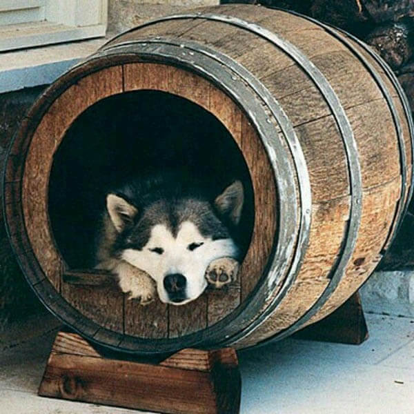 wine-barrel-dog-house
