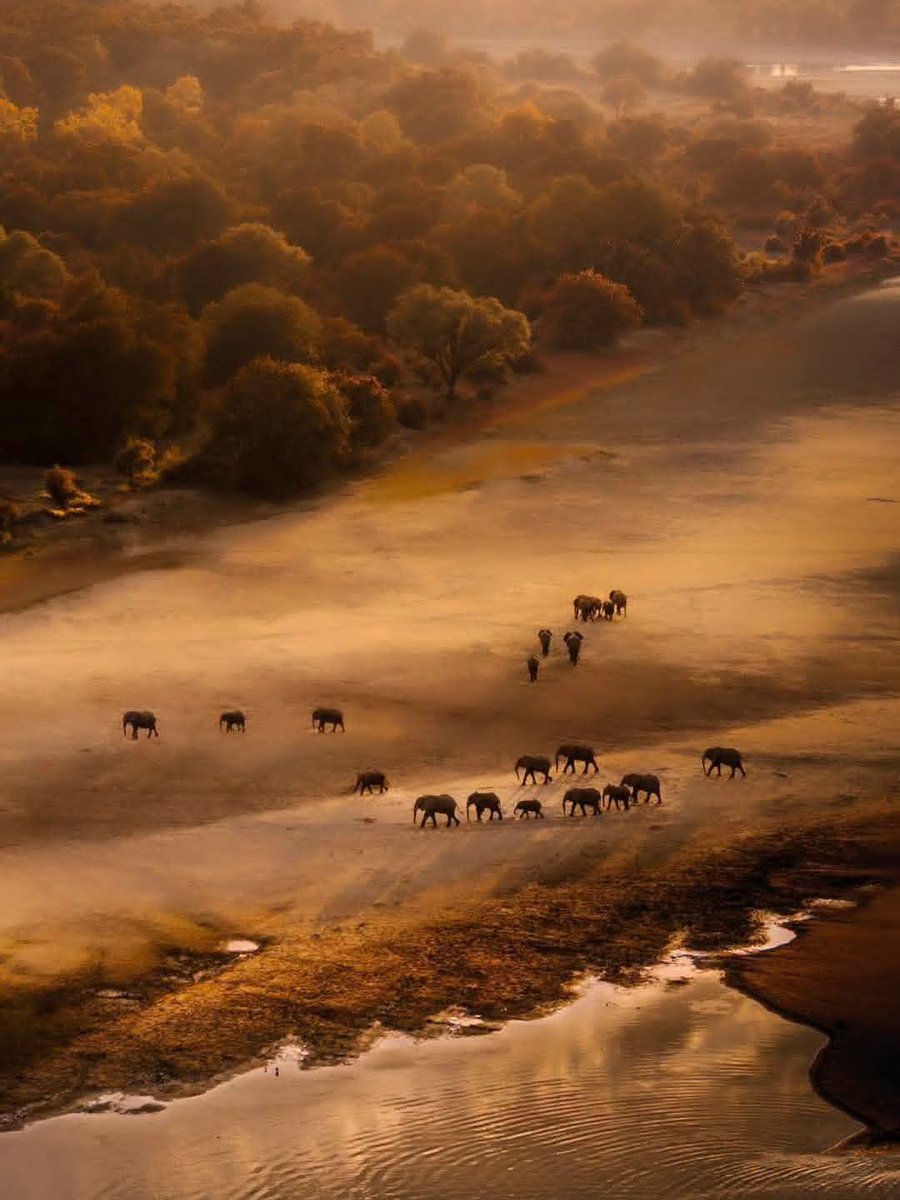 Zambia Nat Park - Copy