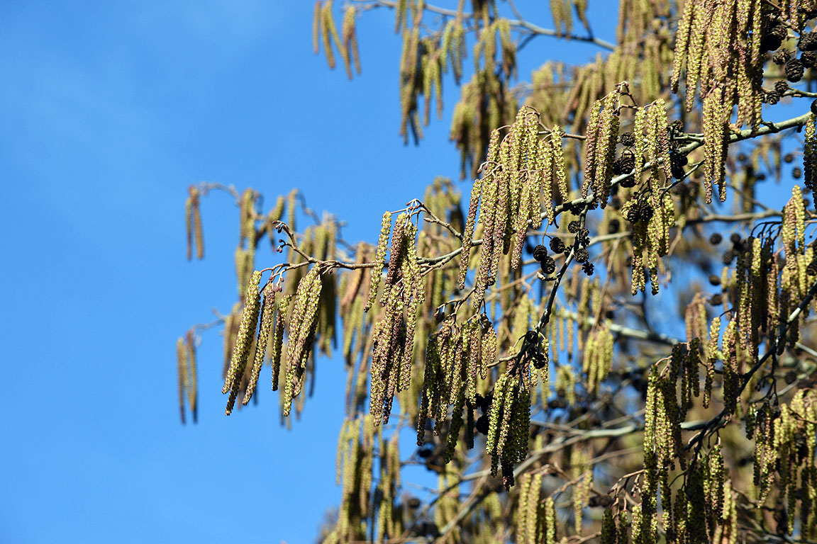 4ad34cea-5c82-4035-9d02-52a0a3b1c6e0