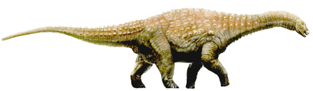 450px-Diamantinasaurus