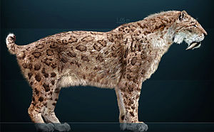 300px-Smilodon fatalis Sergiodlarosa