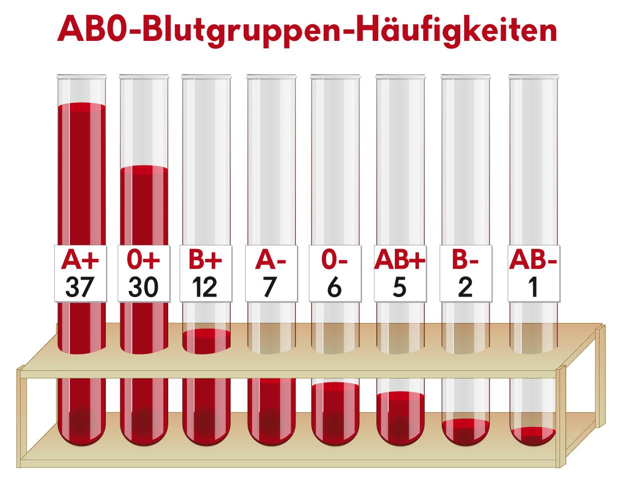 Grafik Blutgruppenhaeufigkeit