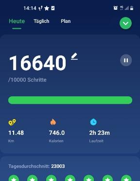 Screenshot 20211125-141500 Pedometer Ste