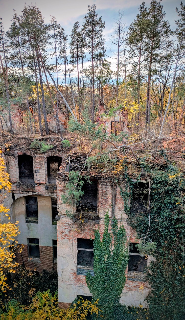 c216aef2-7927-4cee-9f1e-79ed56cc43ef cop