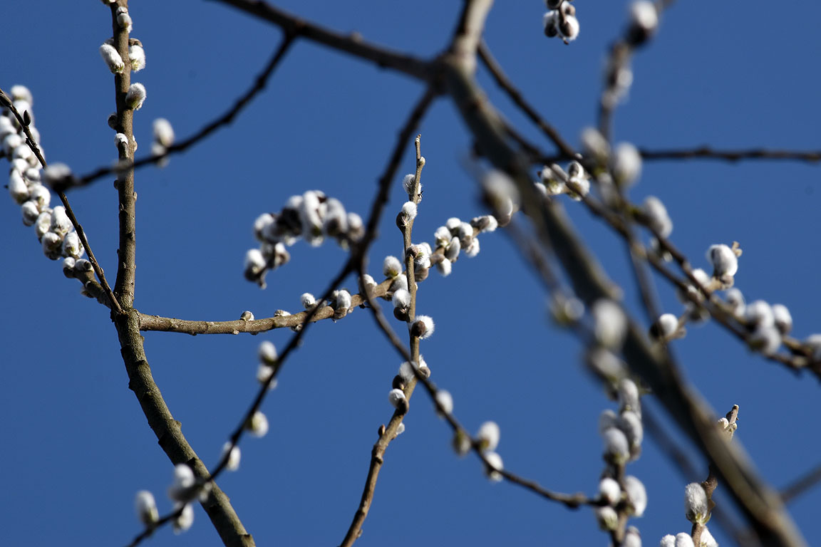 f66e09af-ca43-40f5-81eb-a35b8a7059bc