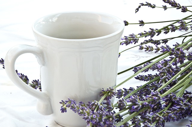 lavender-1636593 640