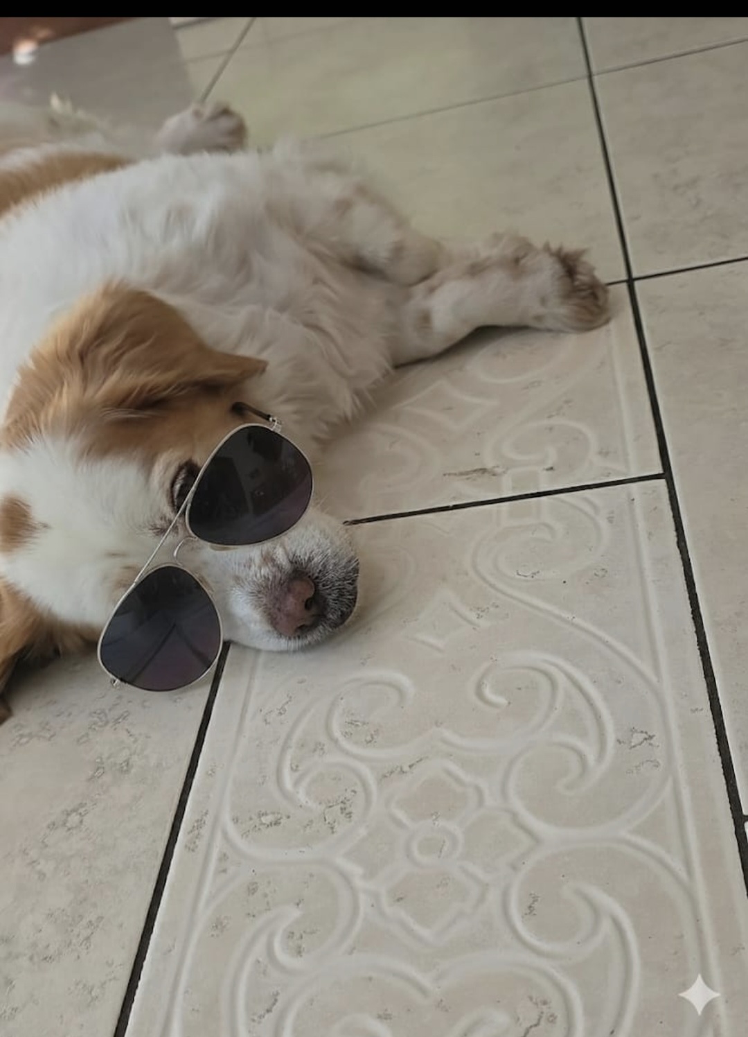 Screenshot 20251120 075507 Gallery