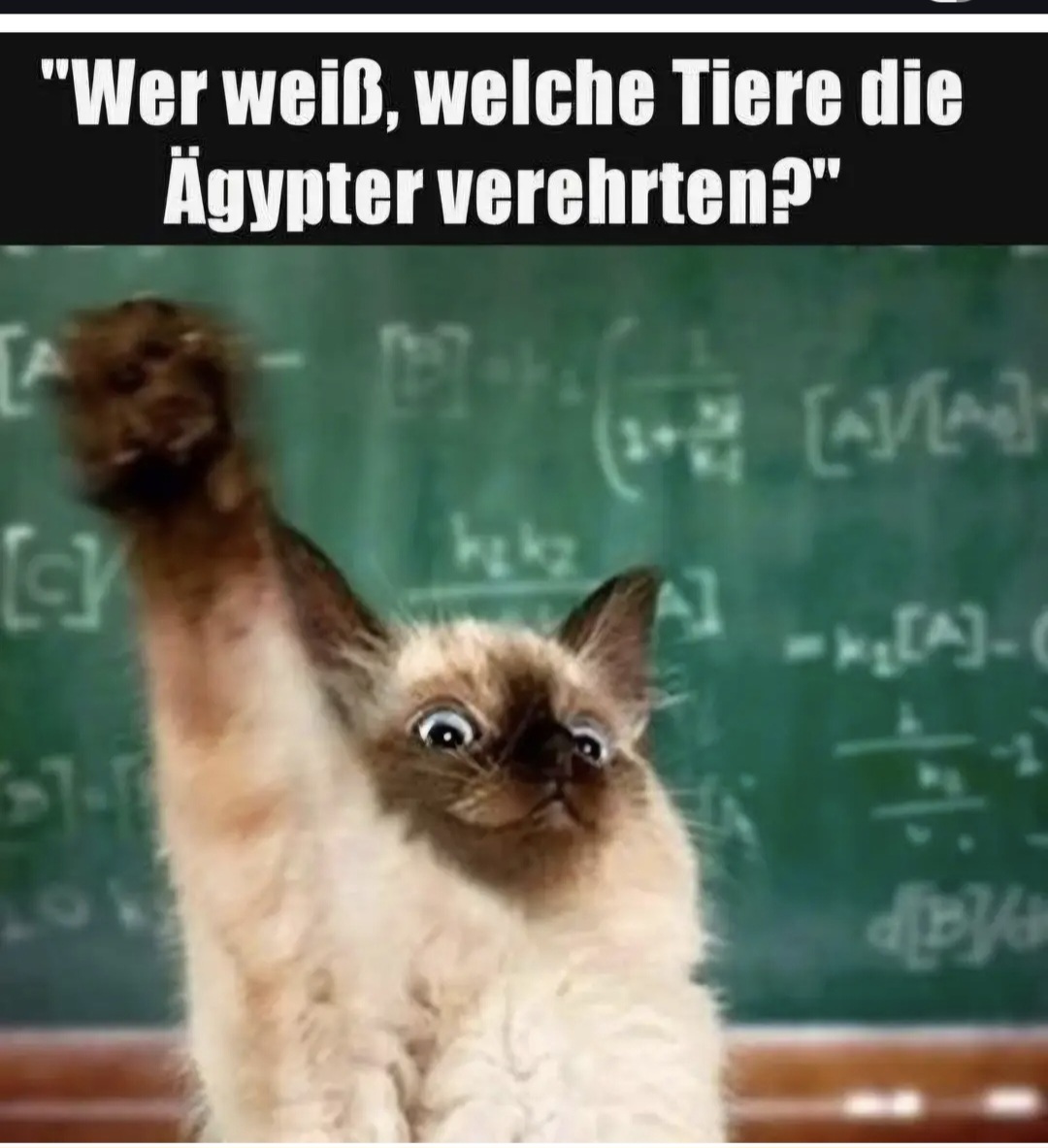 Screenshot 20260212 151027 Chrome