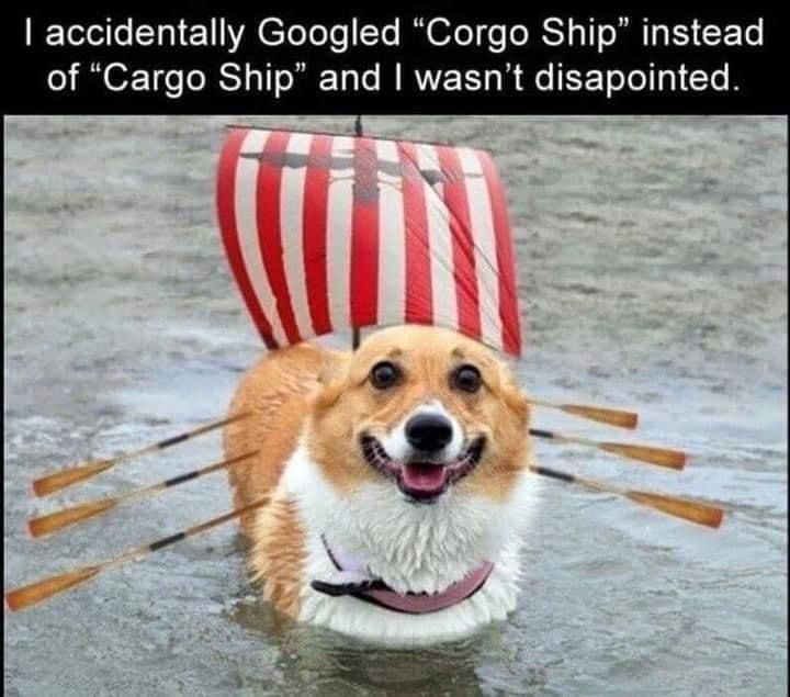 corgo ship - Copy
